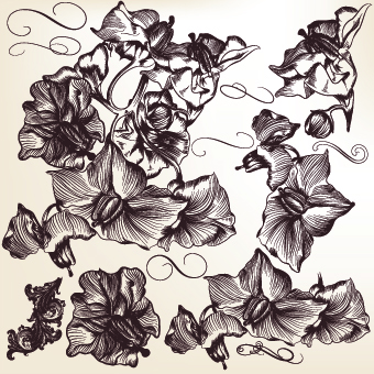 Retro font hand-draw hand drawn floral 