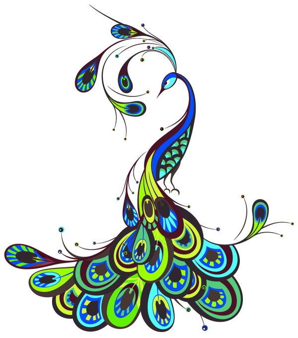 Peacock beautiful vector Peacock beautiful vector