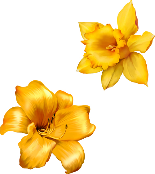 Realistic flowers beautiful vector set 03