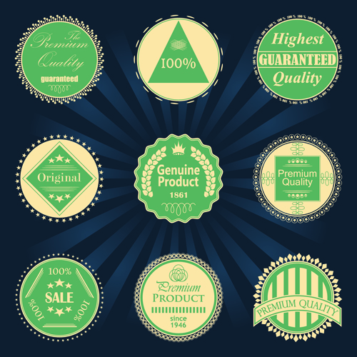 Vintage green quality badge vector