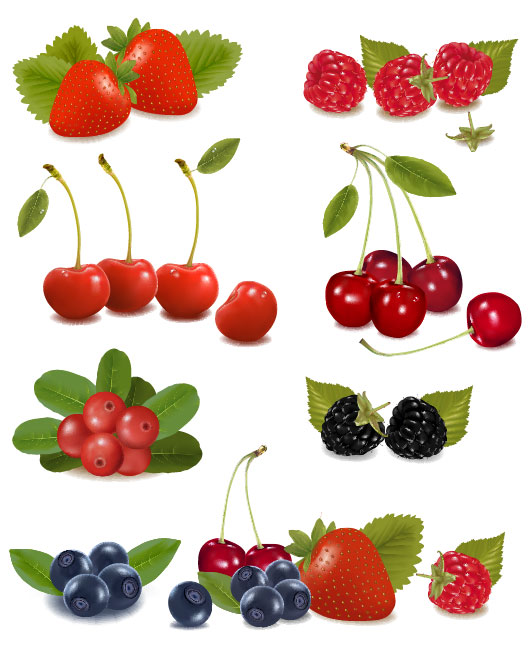 Delicious Fruit 01 vector