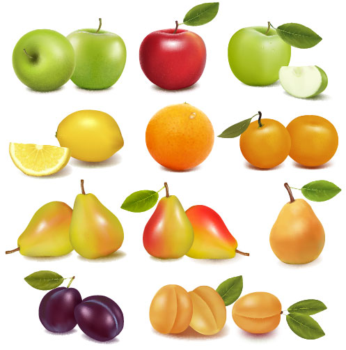 Delicious Fruit 02 vector