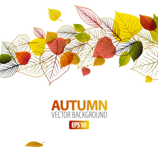 autumn leaves elements background vector set 04