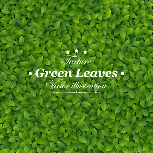 leave green leaves green 