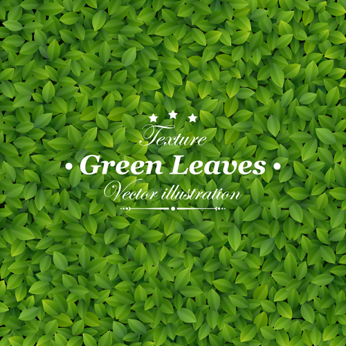 Green Leaves design vector