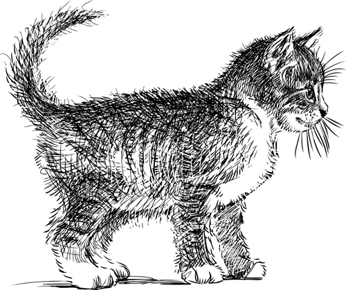 Kittens Hand drawing drawing 