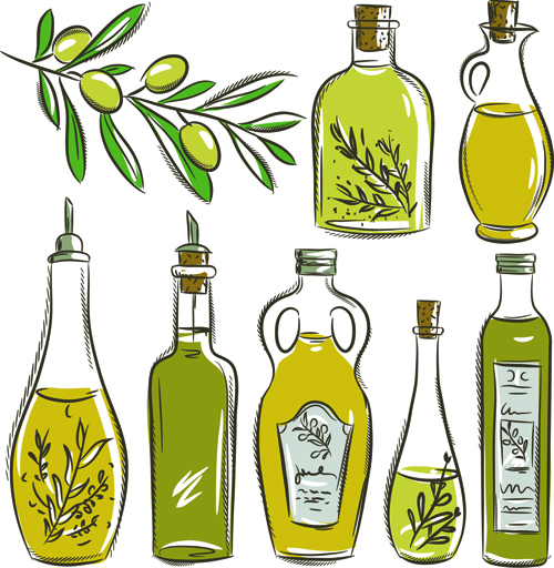 olive oil olive hand drawn 