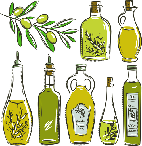 Olives and olive oil hand drawn vector