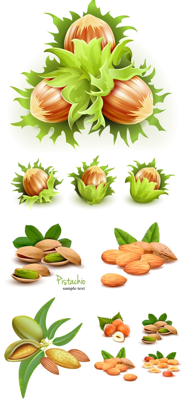Green nuts green food EPS vector material to download chestnut almond 