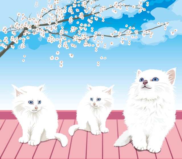Cute white Pussycat design vector