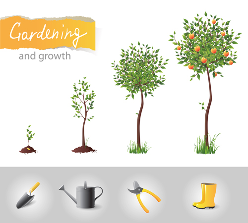 Garden elements vector 04