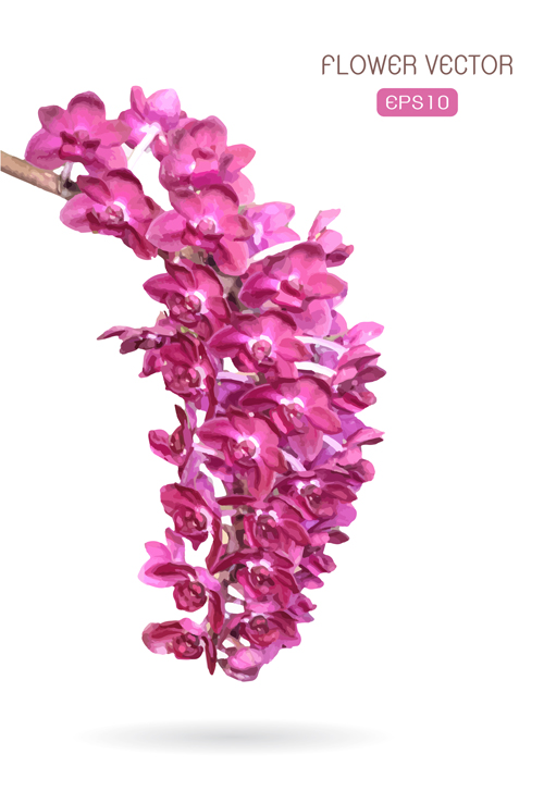 Pink flower branches vector