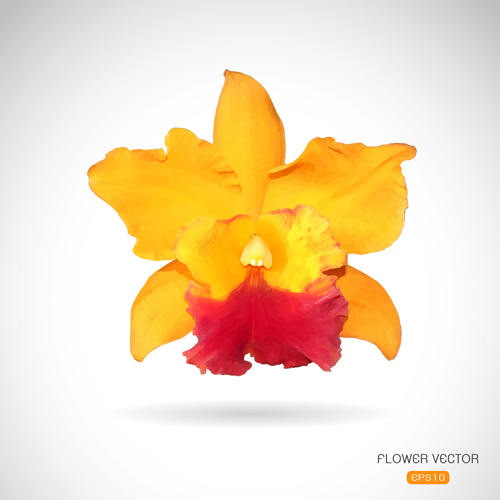 Red with yellow flower vector material