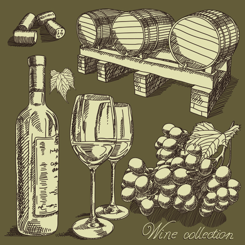 wine hand drawn collection 