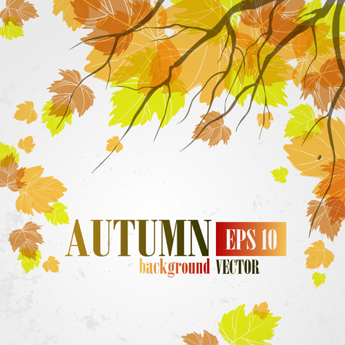 background autumn 