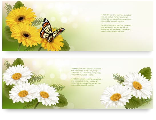 yellow flower butterfly banner 