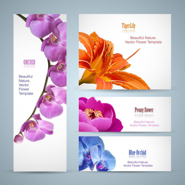 Vivid with flower banner design vector 01