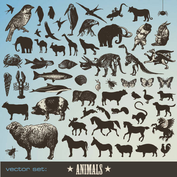 Animal icon vector set 01 vector
