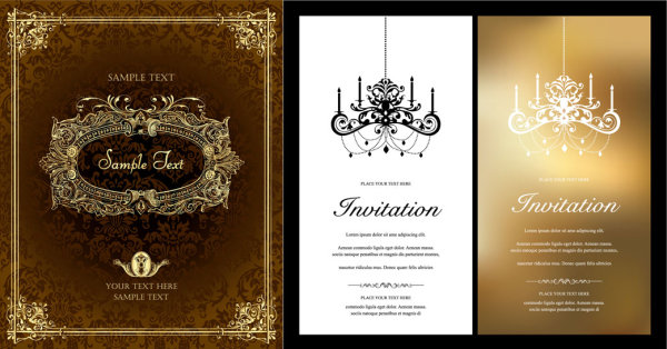 Gorgeous ornate Border vector