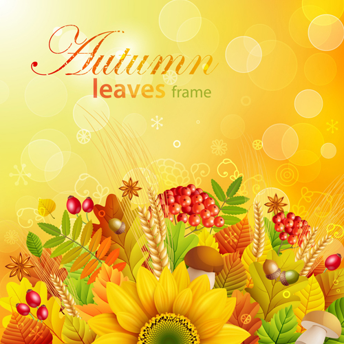 Autumn leaves frame vector set 02