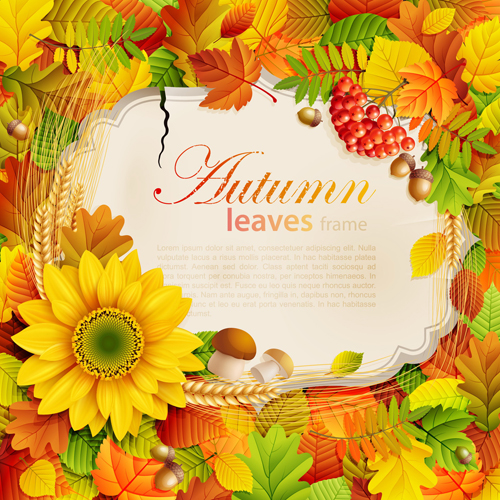 Autumn leaves frame vector set 01