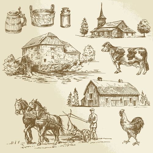 Farm and poultry hand drawn vector 04