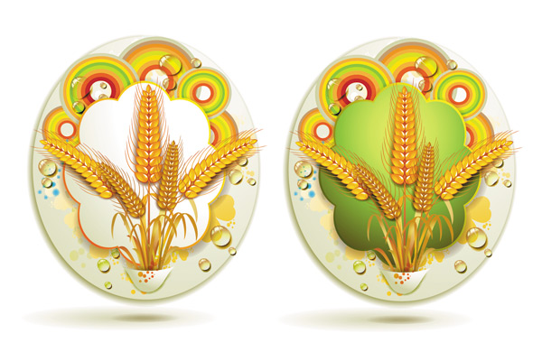 Golden wheat creative background vector 02