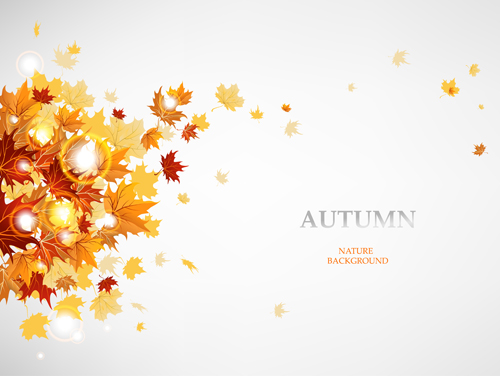 Vector Autumn leaves background graphic 01
