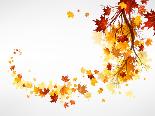 Vector Autumn leaves background graphic 02
