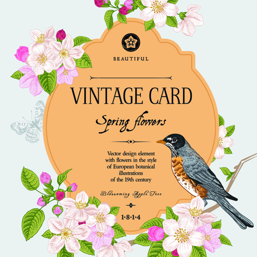 vintage vector graphics flower card vector card bird 