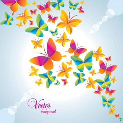 ornate colorful butterfly beautiful background 