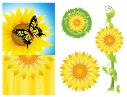 Sunflower background graphics set vector Sunflower background graphics set vector