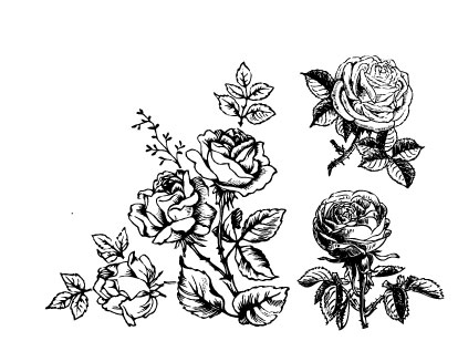 Hand draw Flower vector 01