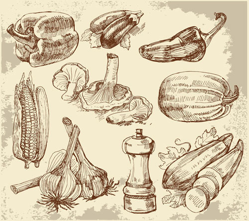Set of Sketch Kitchen supplies vector 02