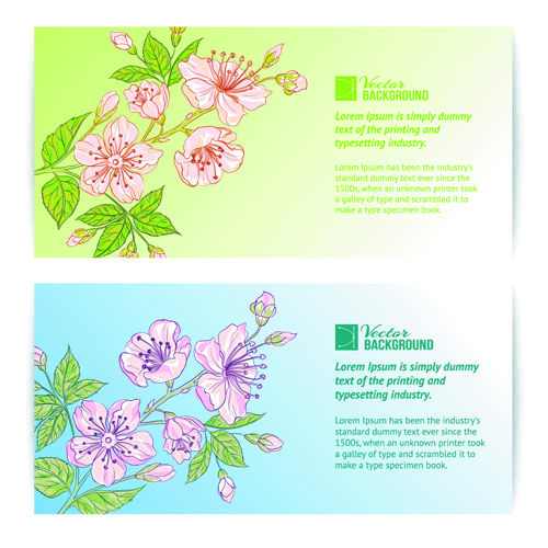 Bamboo with Flowers vector background 04