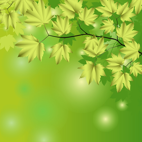 aves with green background vector 02 Branches and leaves with green background vector 02