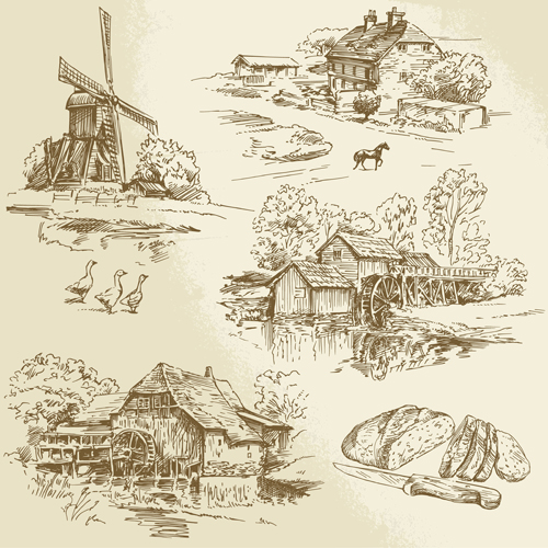 Farm and poultry hand drawn vector 02