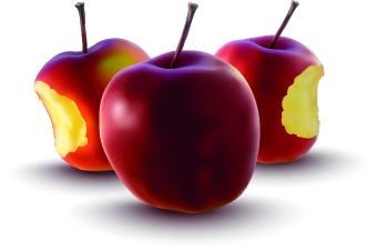 Realistic apple design vector illustration