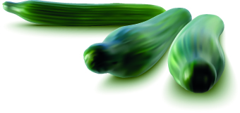vegetables vegetable vector illustration realistic 