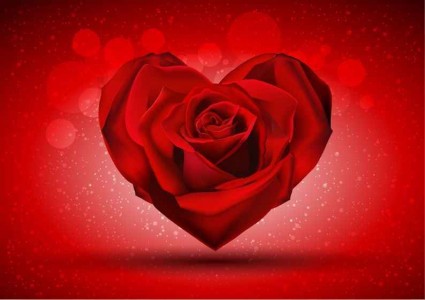 shiny shape rose red in heart 
