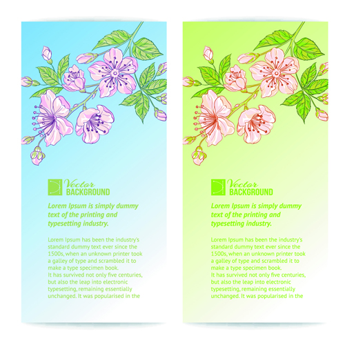 Bamboo with Flowers vector background 02