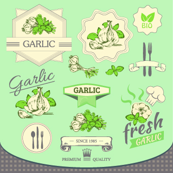 Fresh Food label design vector 05