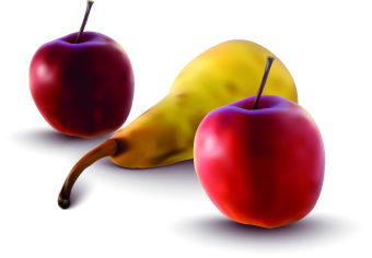 vector illustration pear apple 