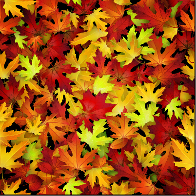 realistic pattern leaves autumn leaves autumn 