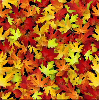 realistic pattern autumn leaves autumn 