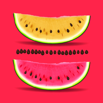Realistic watermelon elements vector