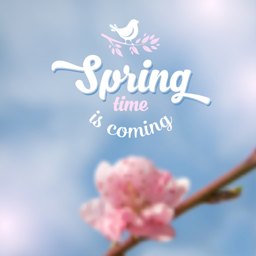 Spring flower blurred background vector set 02