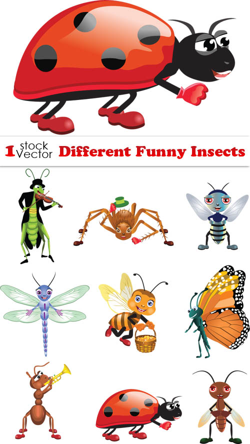 insects funny bright 