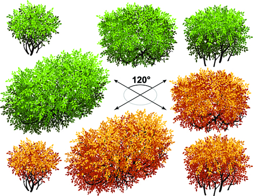 trees isometric creative 