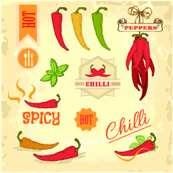 Fresh Food label design vector 03